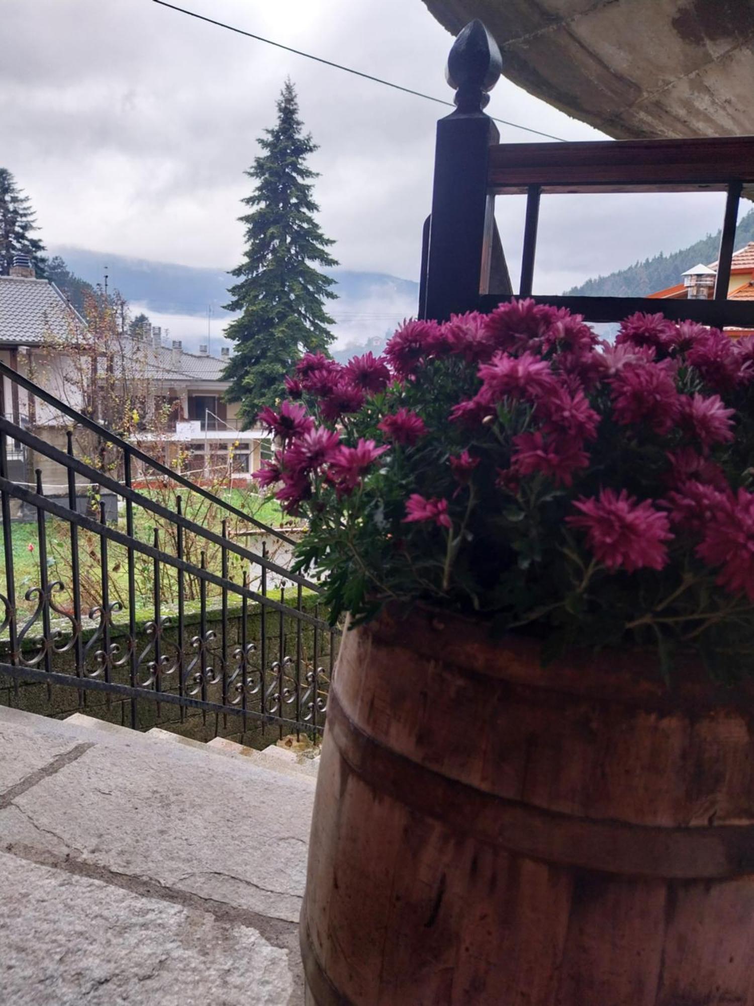 Λαγουμι Suite Α1 Elati  Exterior photo